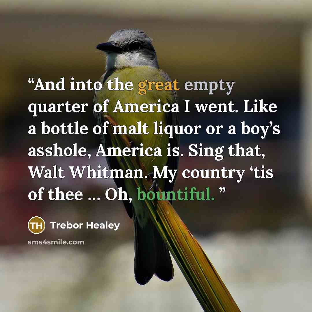 “And into the great empty quarter of America I went. Like a bottle of malt liquor or a boy’s asshole, America is. Sing that, Walt Whitman. My country ‘tis of thee … Oh, bountiful.” quote by Trebor Healey