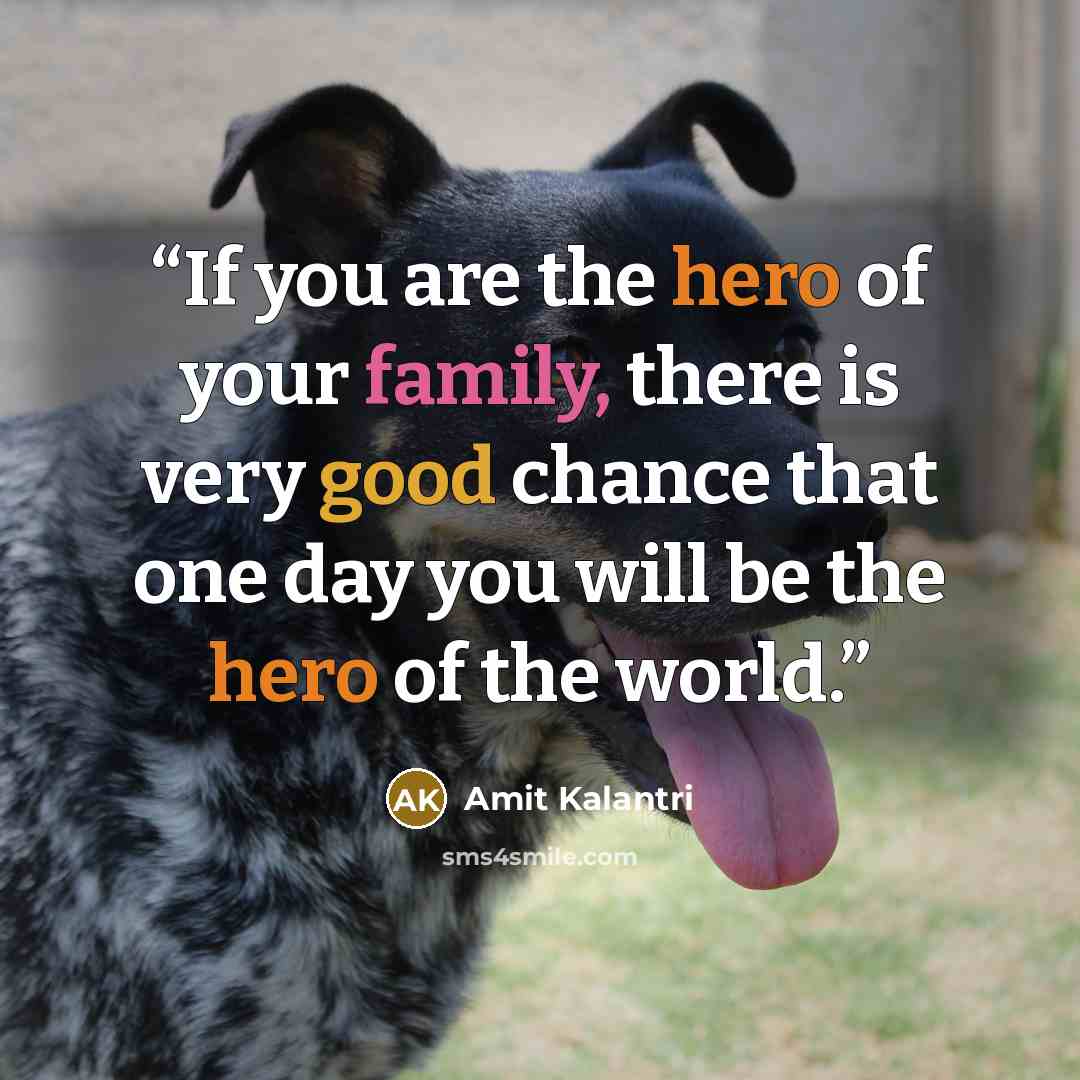 “If you are the hero of your family, there is very good chance that one day you will be the hero of the world.” quote by Amit Kalantri