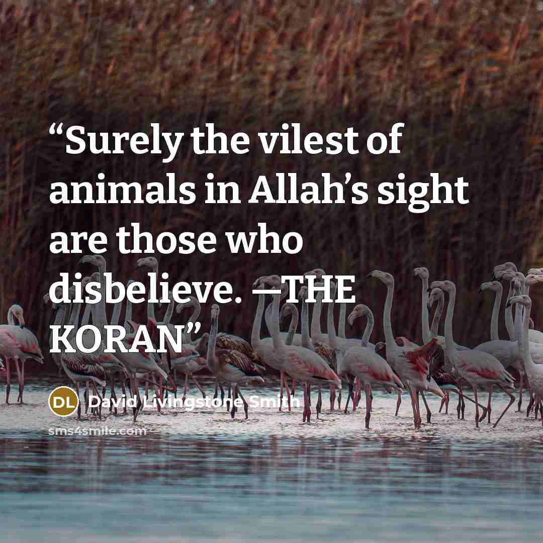 “Surely the vilest of animals in Allah’s sight are those who disbelieve. —THE KORAN” quote by David Livingstone Smith
