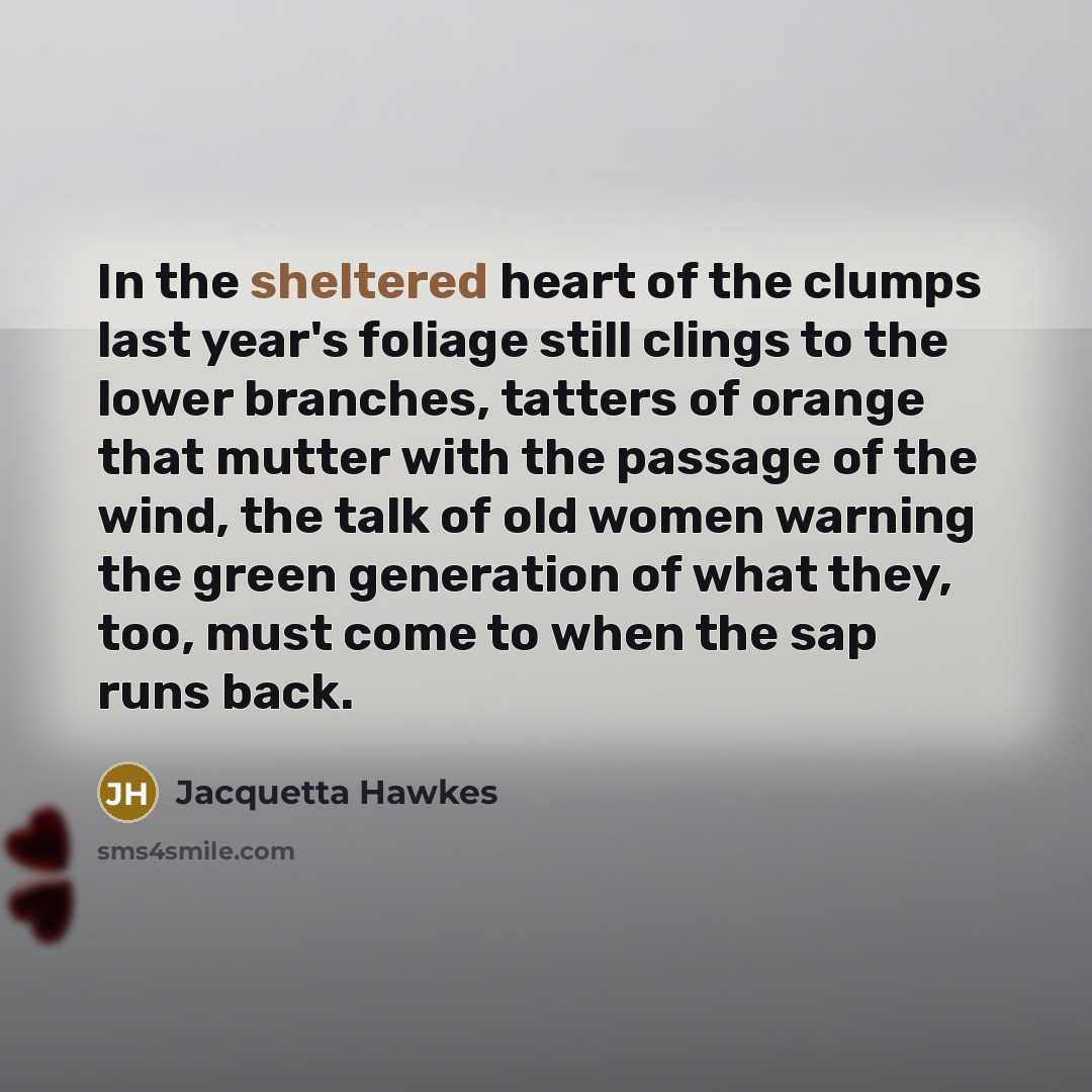 “In the sheltered heart of the clumps last year's foliage still clings to the lower branches, tatters of orange that mutter with the passage of the wind, the talk of old women warning the green generation of what they, too, must come to when the sap runs back.” quote by Jacquetta Hawkes