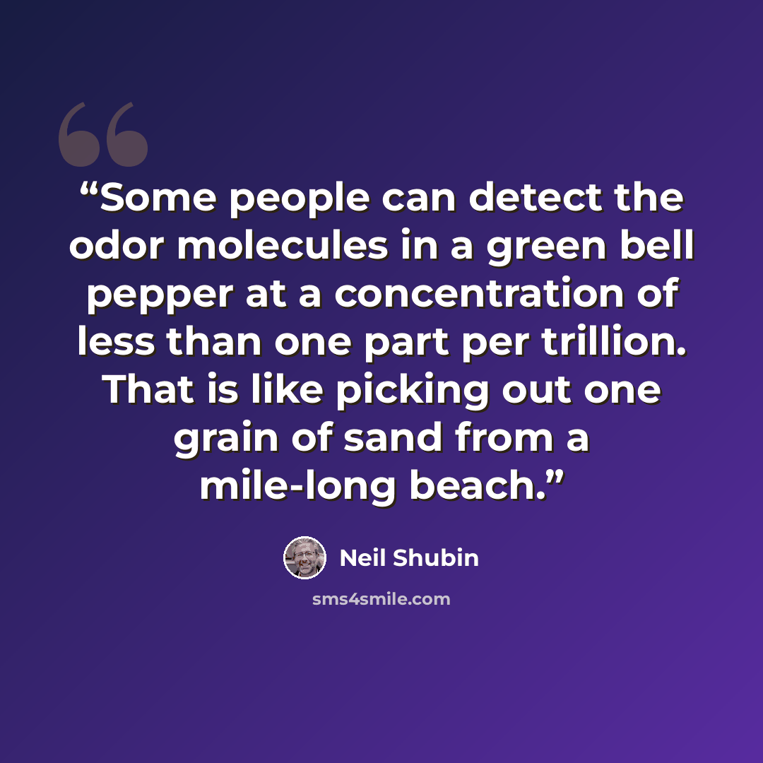 “Some people can detect the odor molecules in a green bell pepper at a concentration of less than one part per trillion. That is like picking out one grain of sand from a mile-long beach.” quote by Neil Shubin
