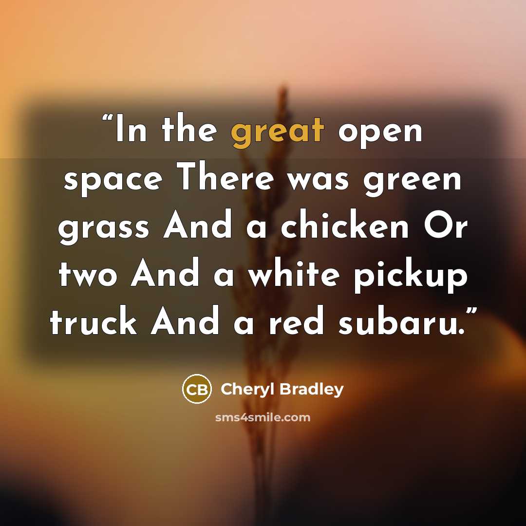“In the great open space There was green grass And a chicken Or two And a white pickup truck And a red subaru.” quote by Cheryl Bradley