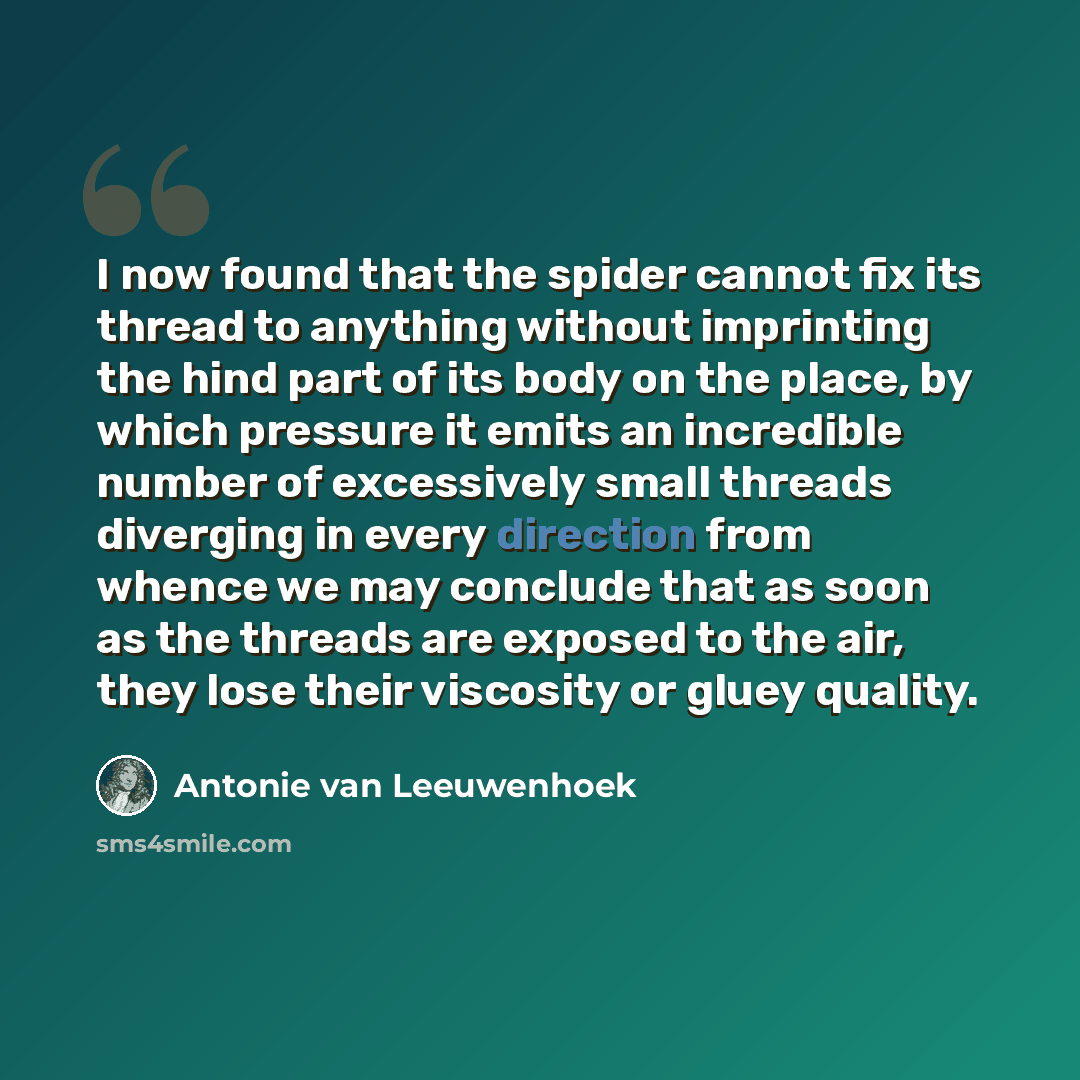 “I now found that the spider cannot fix its thread to anything without imprinting the hind part of its body on the place, by which pressure it emits an incredible number of excessively small threads diverging in every direction from whence we may conclude that as soon as the threads are exposed to…” quote by Antonie van Leeuwenhoek