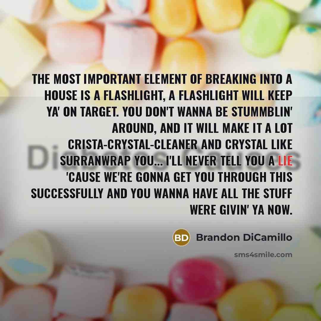 “The most important element of breaking into a house is a flashlight, a flashlight will keep ya' on target. You don't wanna be stummblin' around, and it will make it a lot crista-crystal-cleaner and crystal like surranwrap you... I'll never tell you a lie 'cause we're gonna get you through this…” quote by Brandon DiCamillo