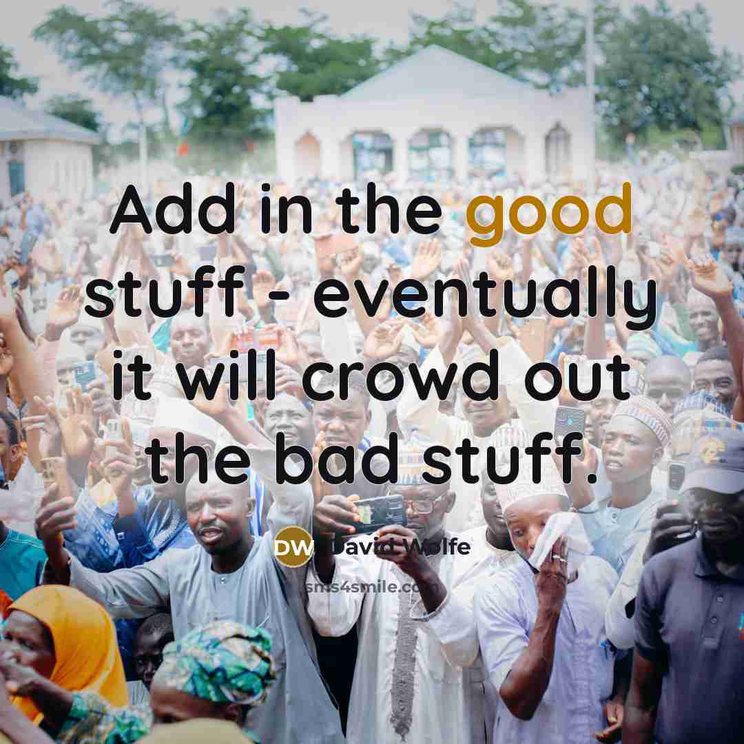 “Add in the good stuff - eventually it will crowd out the bad stuff.” quote by David Wolfe