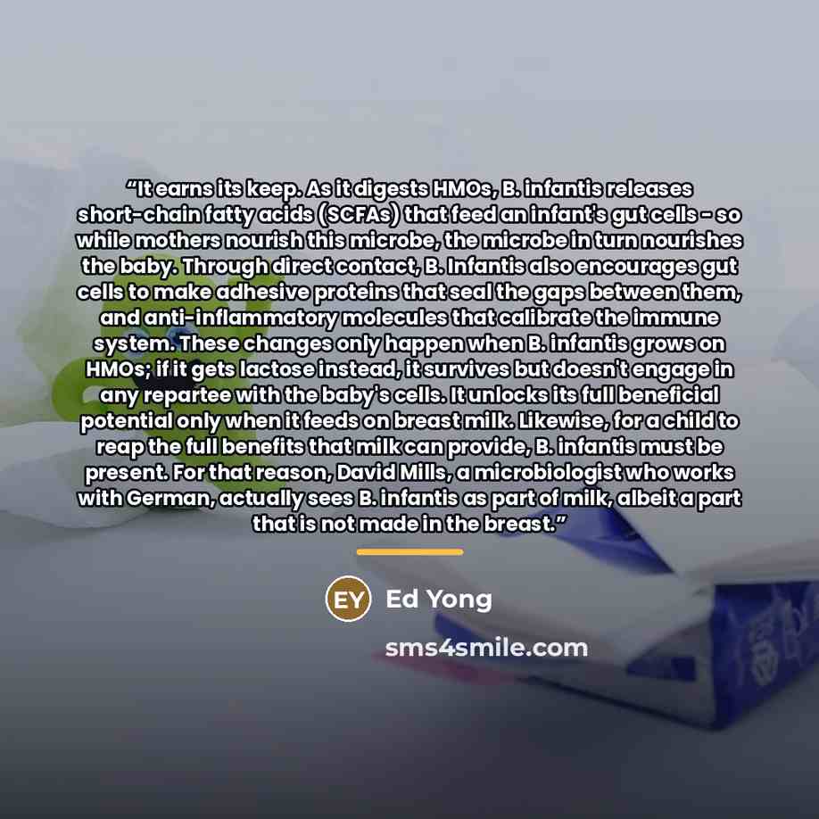 “It earns its keep. As it digests HMOs, B. infantis releases short-chain fatty acids (SCFAs) that feed an infant's gut cells - so while mothers nourish this microbe, the microbe in turn nourishes the baby. Through direct contact, B. Infantis also encourages gut cells to make adhesive proteins that…” quote by Ed Yong