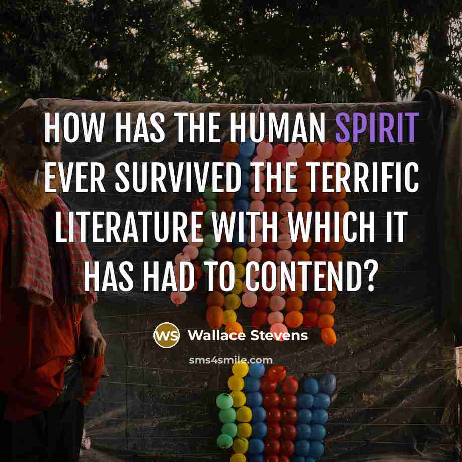 “How has the human spirit ever survived the terrific literature with which it has had to contend?” quote by Wallace Stevens