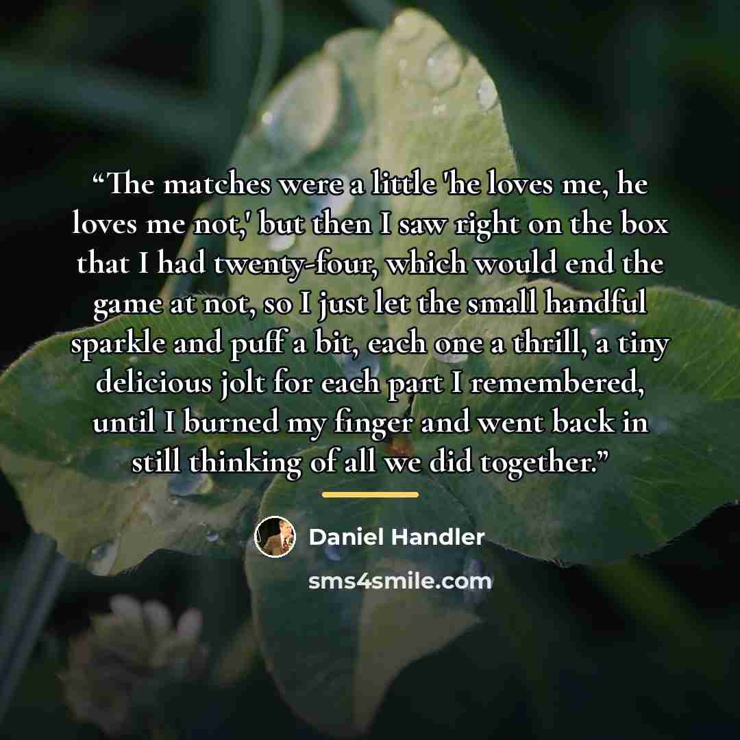 “The matches were a little 'he loves me, he loves me not,' but then I saw right on the box that I had twenty-four, which would end the game at not, so I just let the small handful sparkle and puff a bit, each one a thrill, a tiny delicious jolt for each part I remembered, until I burned my finger…” quote by Daniel Handler