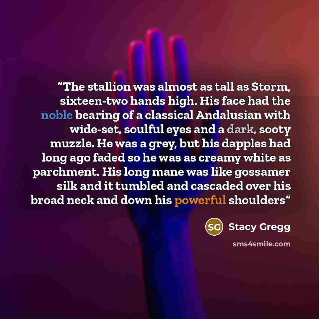 “The stallion was almost as tall as Storm, sixteen-two hands high. His face had the noble bearing of a classical Andalusian with wide-set, soulful eyes and a dark, sooty muzzle. He was a grey, but his dapples had long ago faded so he was as creamy white as parchment. His long mane was like gossamer…” quote by Stacy Gregg