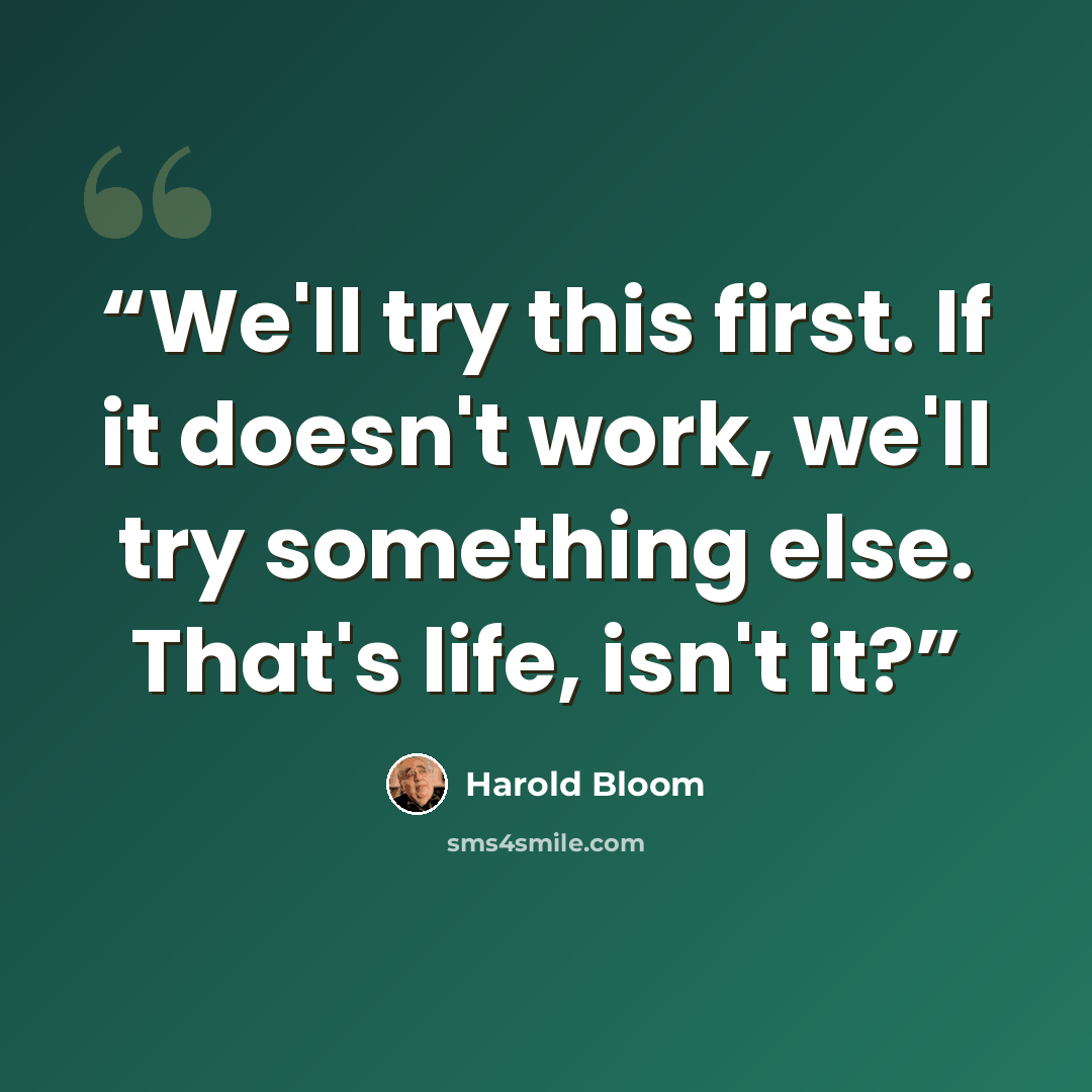 “We'll try this first. If it doesn't work, we'll try something else. That's life, isn't it?” quote by Harold Bloom