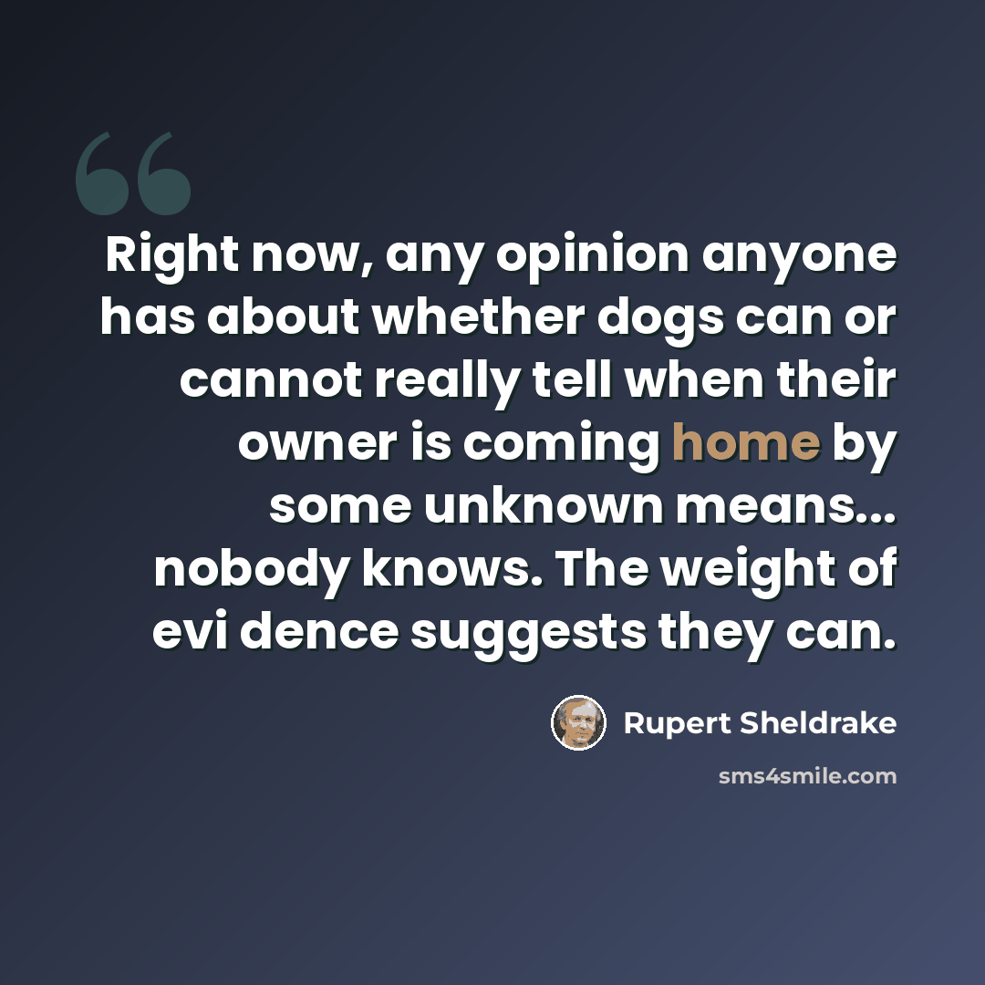“Right now, any opinion anyone has about whether dogs can or cannot really tell when their owner is coming home by some unknown means... nobody knows. The weight of evi dence suggests they can.” quote by Rupert Sheldrake