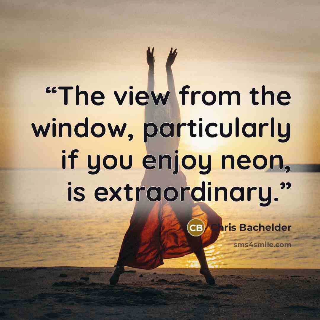 “The view from the window, particularly if you enjoy neon, is extraordinary.” quote by Chris Bachelder