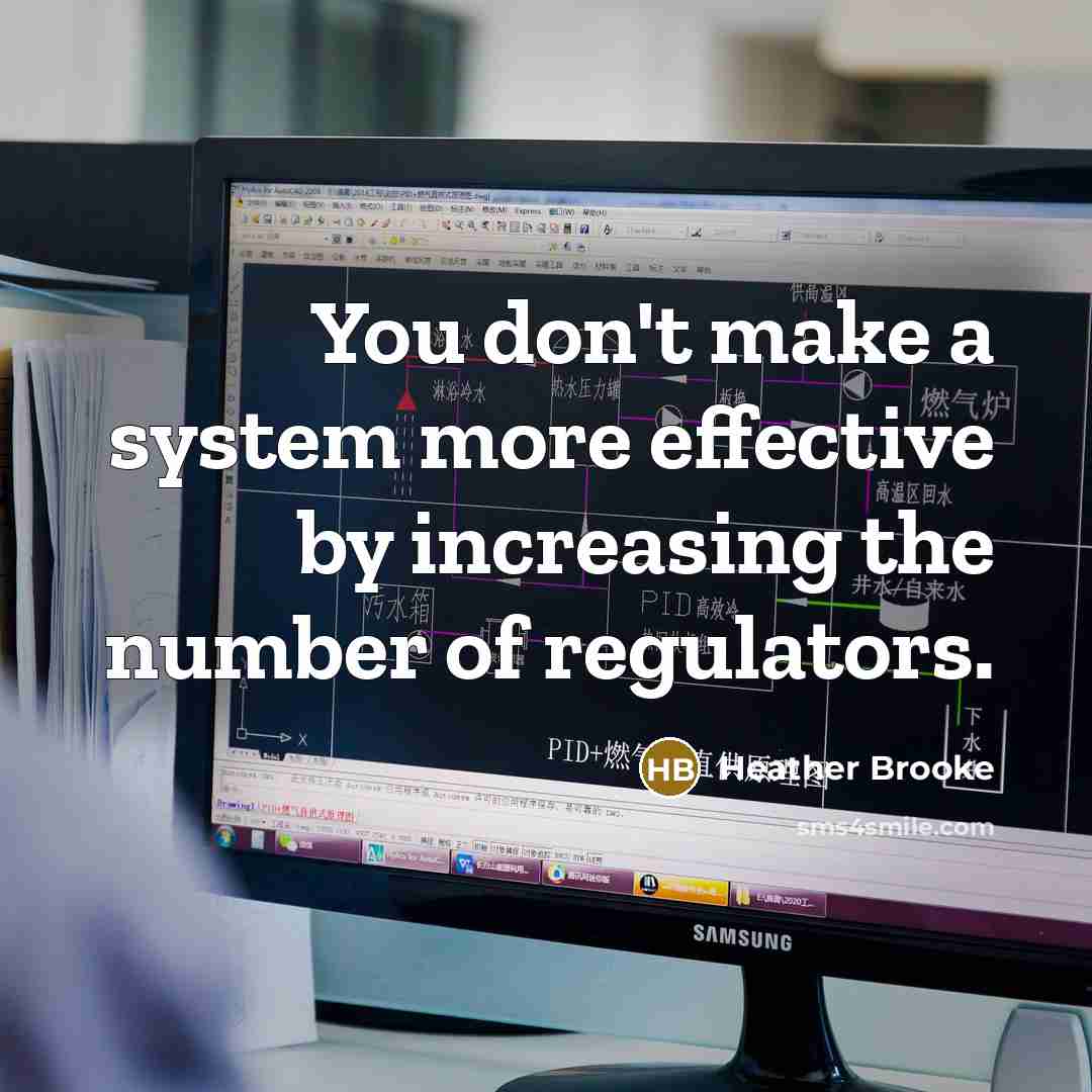 “You don't make a system more effective by increasing the number of regulators.” quote by Heather Brooke