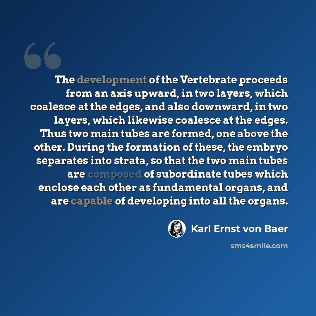 “The development of the Vertebrate proceeds from an axis upward, in two layers, which coalesce at the edges, and also downward, in two layers, which likewise coalesce at the edges. Thus two main tubes are formed, one above the other. During the formation of these, the embryo separates into strata…” quote by Karl Ernst von Baer