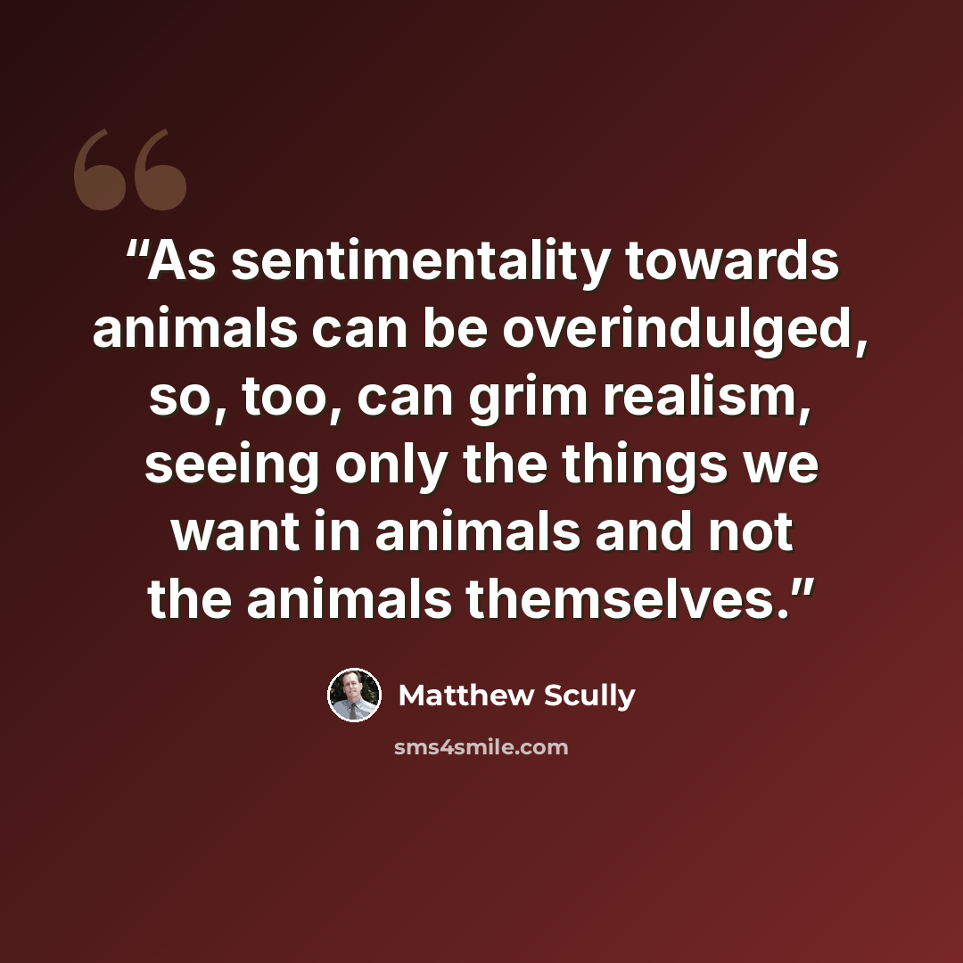 “As sentimentality towards animals can be overindulged, so, too, can grim realism, seeing only the things we want in animals and not the animals themselves.” quote by Matthew Scully
