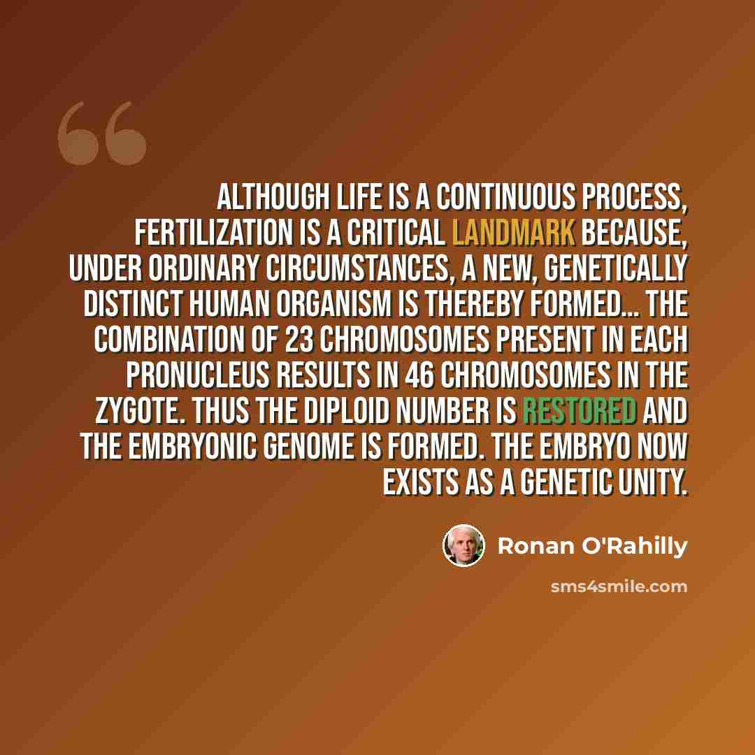 “Although life is a continuous process, fertilization is a critical landmark because, under ordinary circumstances, a new, genetically distinct human organism is thereby formed… The combination of 23 chromosomes present in each pronucleus results in 46 chromosomes in the zygote. Thus the diploid…” quote by Ronan O'Rahilly