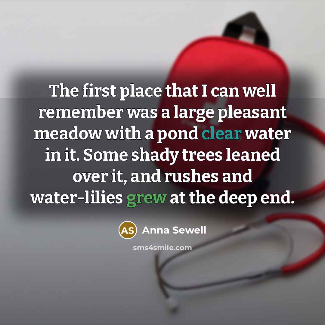 “The first place that I can well remember was a large pleasant meadow with a pond clear water in it. Some shady trees leaned over it, and rushes and water-lilies grew at the deep end.” quote by Anna Sewell