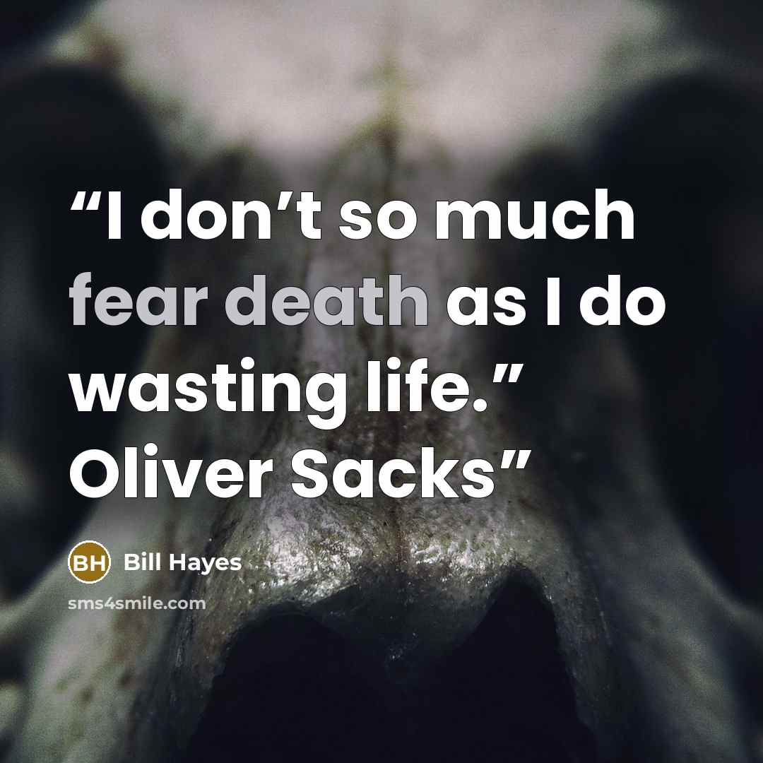 “I don’t so much fear death as I do wasting life.” Oliver Sacks” quote by Bill Hayes