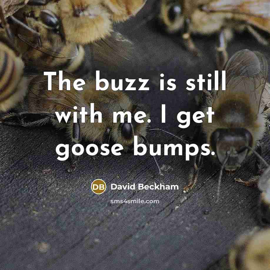 “The buzz is still with me. I get goose bumps.” quote by David Beckham