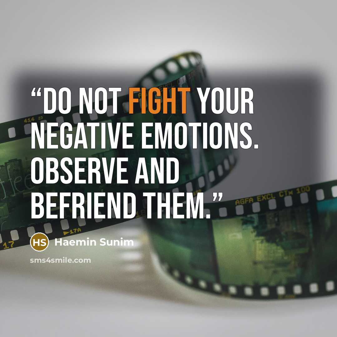 “Do not fight your negative emotions. Observe and befriend them.” quote by Haemin Sunim