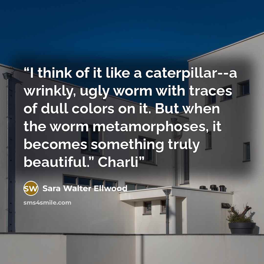 “I think of it like a caterpillar--a wrinkly, ugly worm with traces of dull colors on it. But when the worm metamorphoses, it becomes something truly beautiful.” Charli” quote by Sara Walter Ellwood