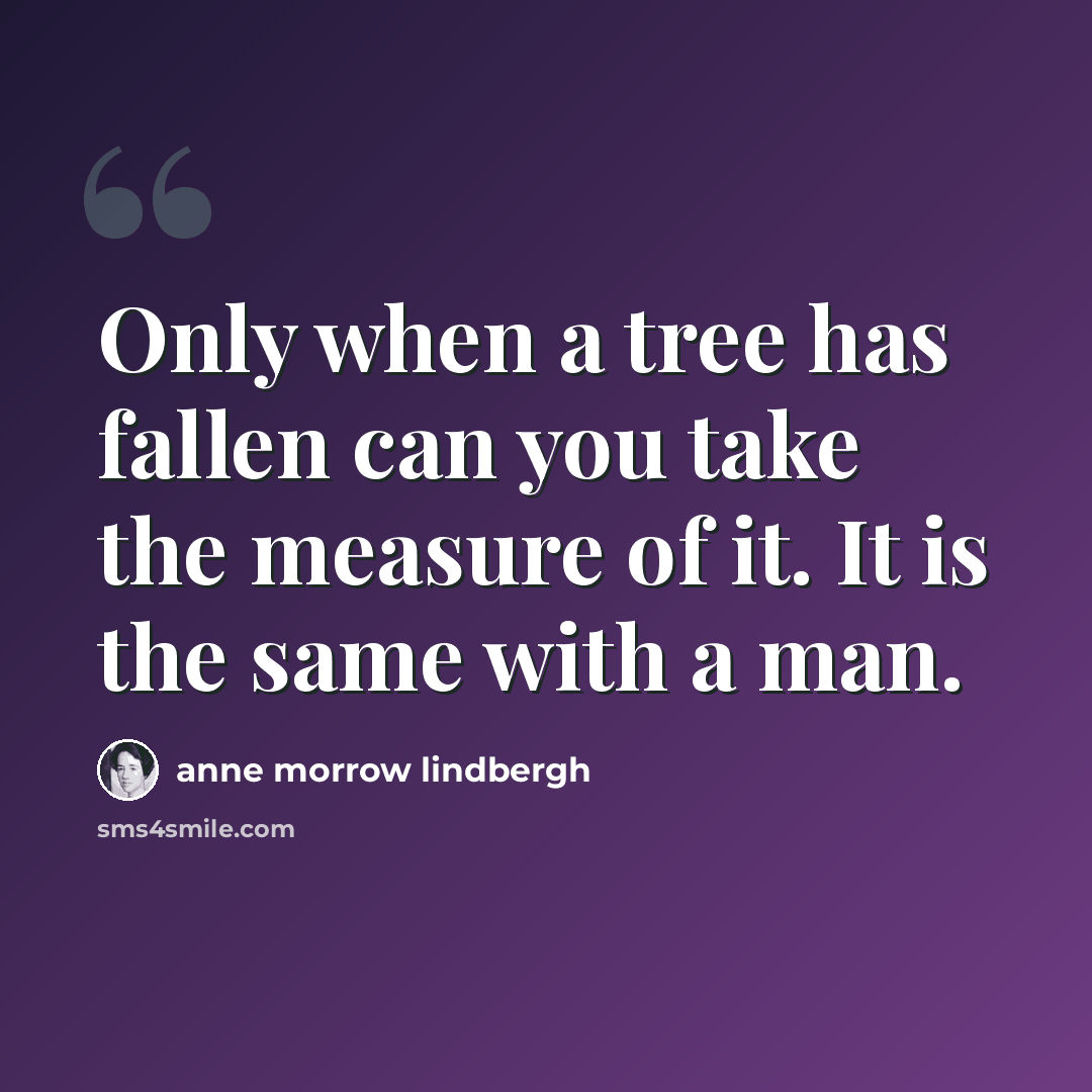“Only when a tree has fallen can you take the measure of it. It is the same with a man.” quote by Anne Morrow Lindbergh