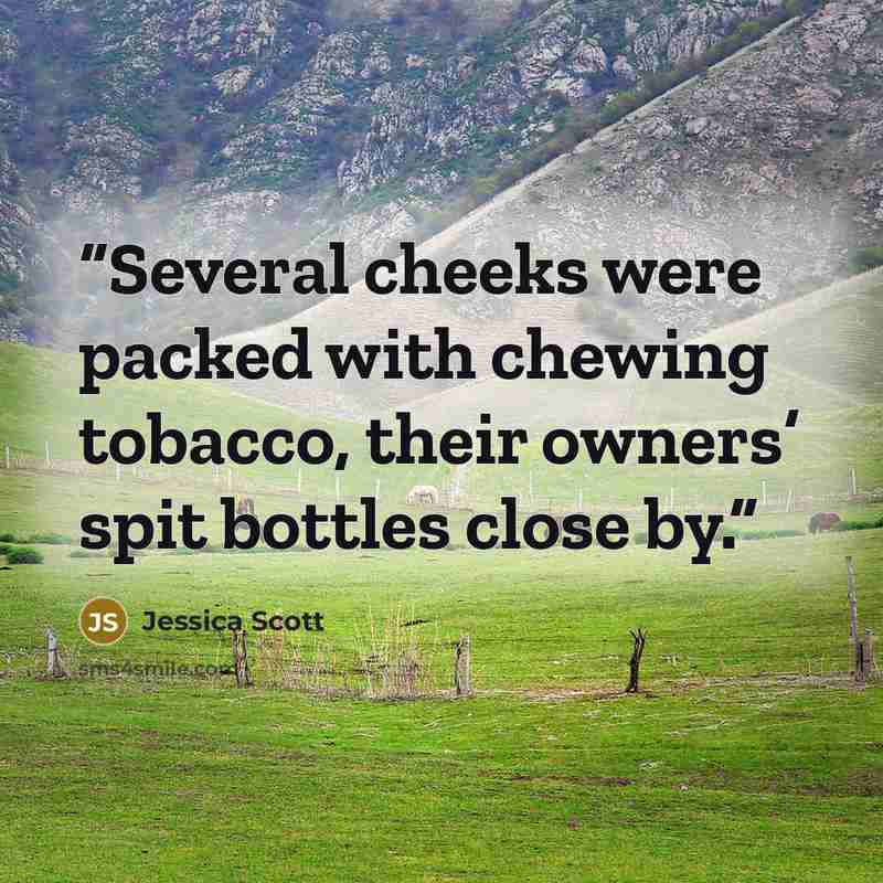 “Several cheeks were packed with chewing tobacco, their owners’ spit bottles close by.” quote by Jessica Scott