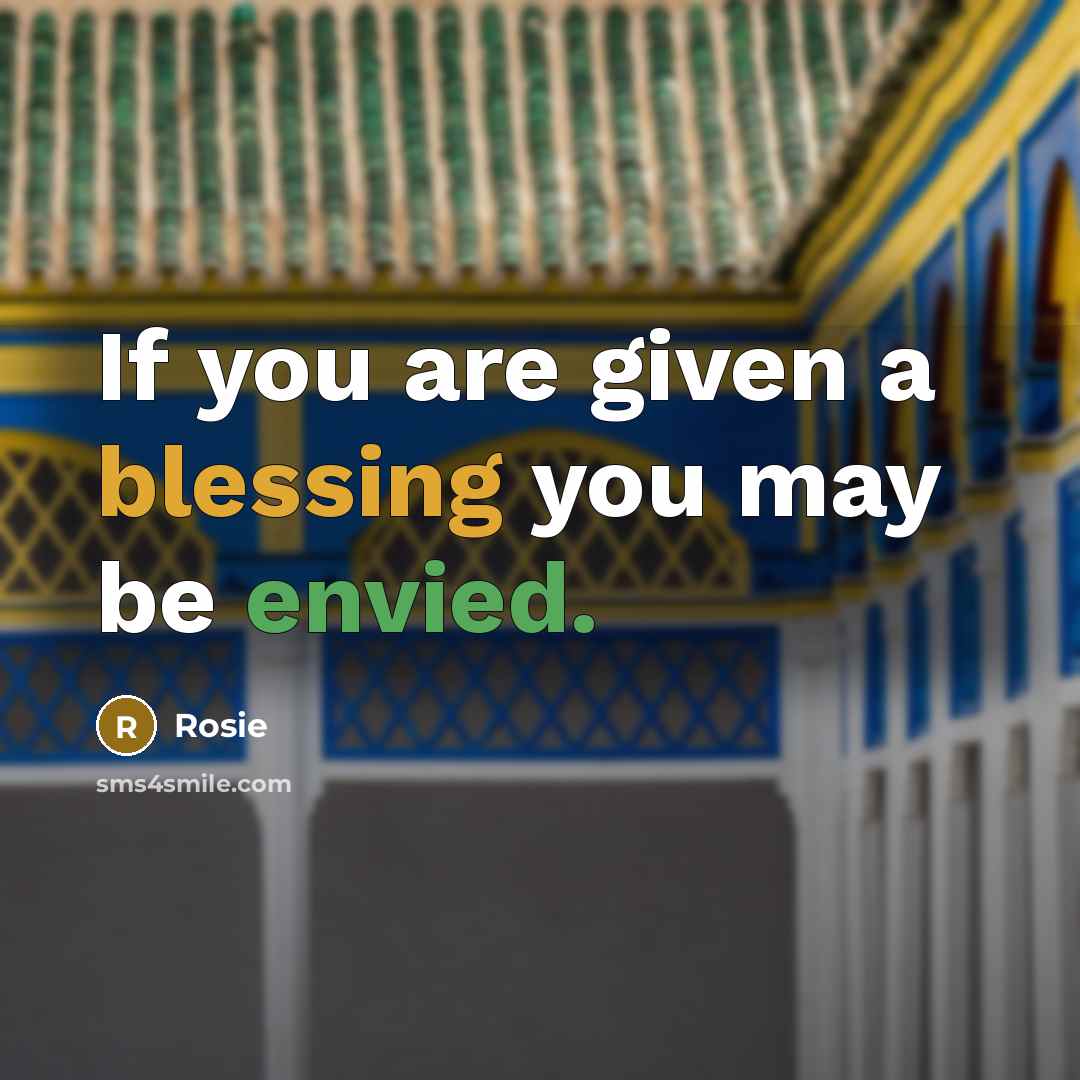 “If you are given a blessing you may be envied.” quote by Rosie