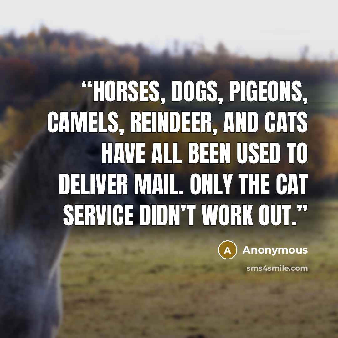 “Horses, dogs, pigeons, camels, reindeer, and cats have all been used to deliver mail. Only the cat service didn’t work out.” quote by Anonymous