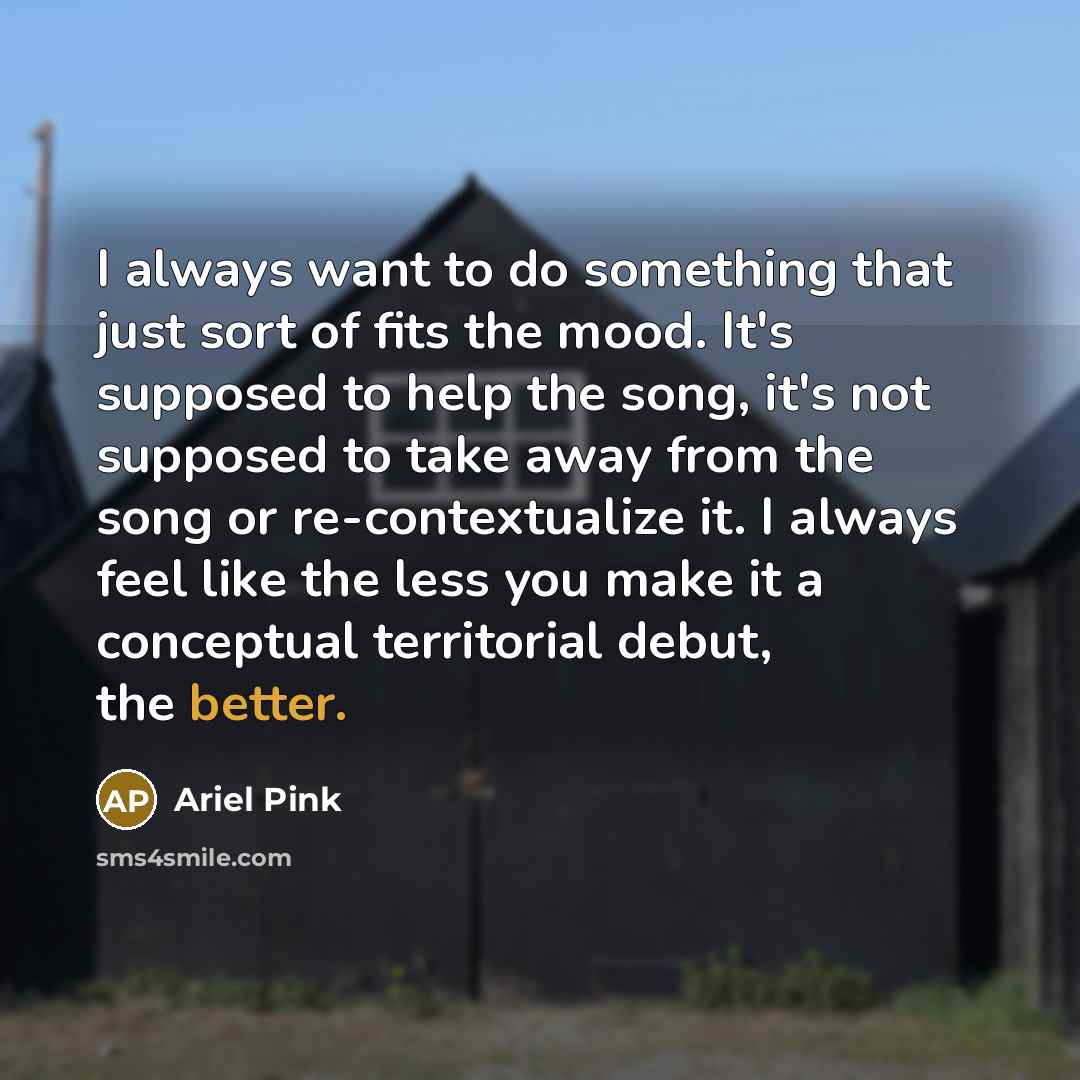 “I always want to do something that just sort of fits the mood. It's supposed to help the song, it's not supposed to take away from the song or re-contextualize it. I always feel like the less you make it a conceptual territorial debut, the better.” quote by Ariel Pink