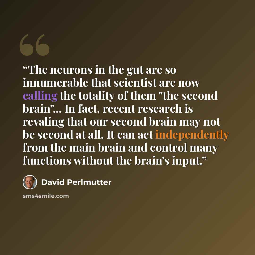 “The neurons in the gut are so innumerable that scientist are now calling the totality of them "the second brain"... In fact, recent research is revaling that our second brain may not be second at all. It can act independently from the main brain and control many functions without the brain's input.” quote by David Perlmutter