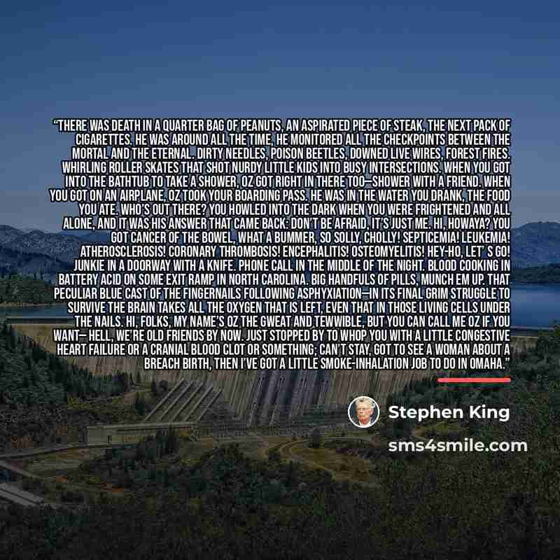 “There was death in a quarter bag of peanuts, an aspirated piece of steak, the next pack of cigarettes. He was around all the time, he monitored all the checkpoints between the mortal and the eternal. Dirty needles, poison beetles, downed live wires, forest fires. Whirling roller skates that shot…” quote by Stephen King