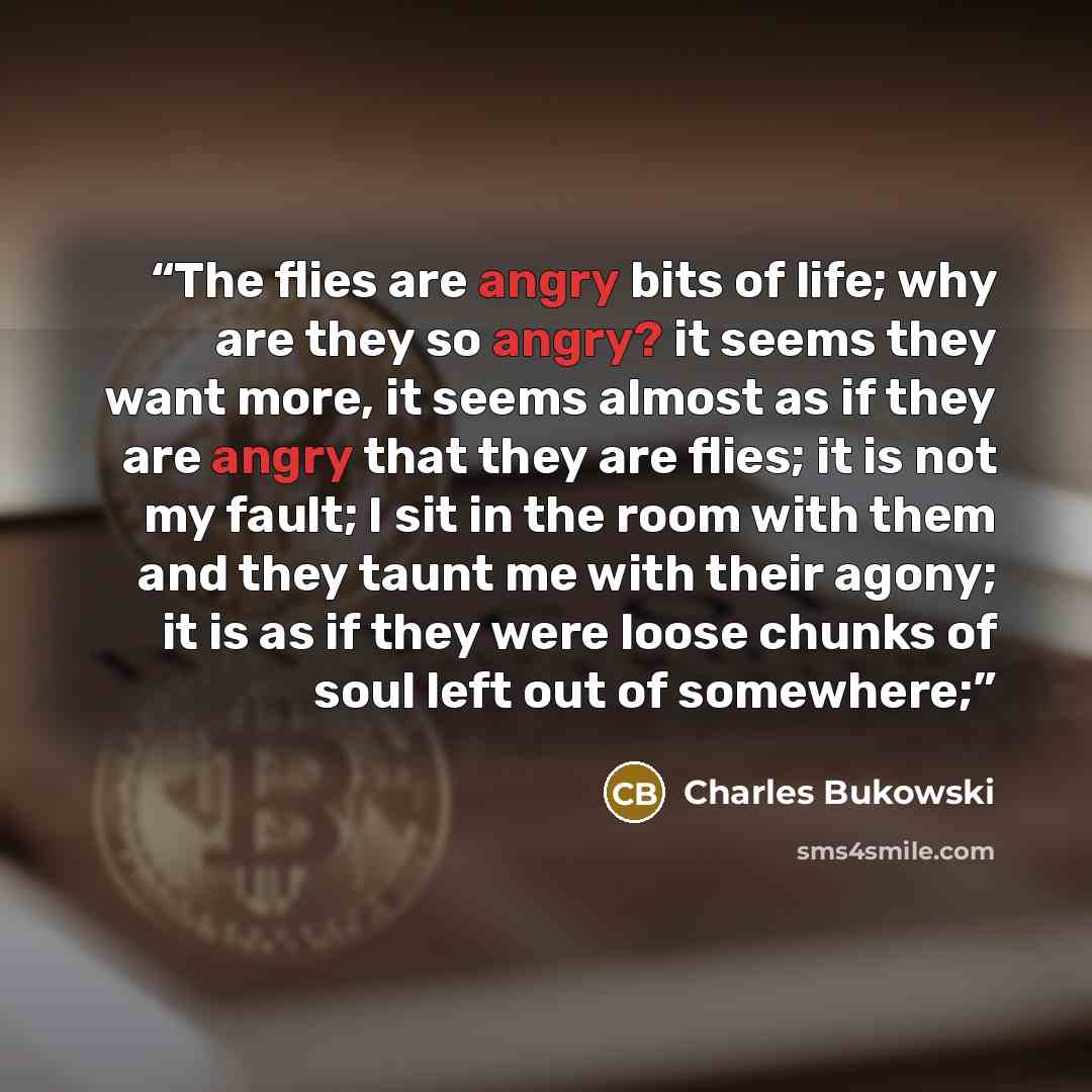 “The flies are angry bits of life; why are they so angry? it seems they want more, it seems almost as if they are angry that they are flies; it is not my fault; I sit in the room with them and they taunt me with their agony; it is as if they were loose chunks of soul left out of somewhere;” quote by Charles Bukowski