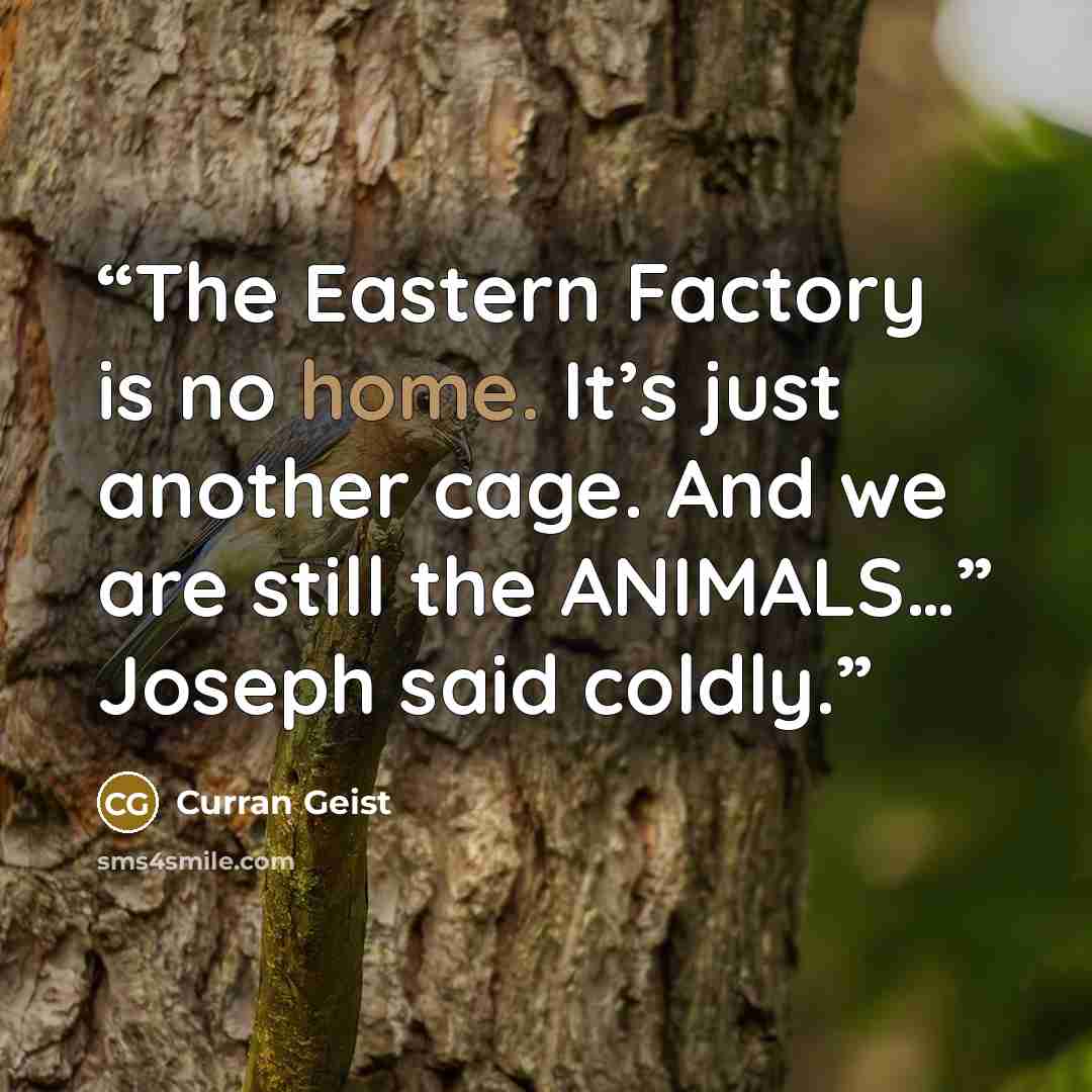 “The Eastern Factory is no home. It’s just another cage. And we are still the ANIMALS…” Joseph said coldly.” quote by Curran Geist