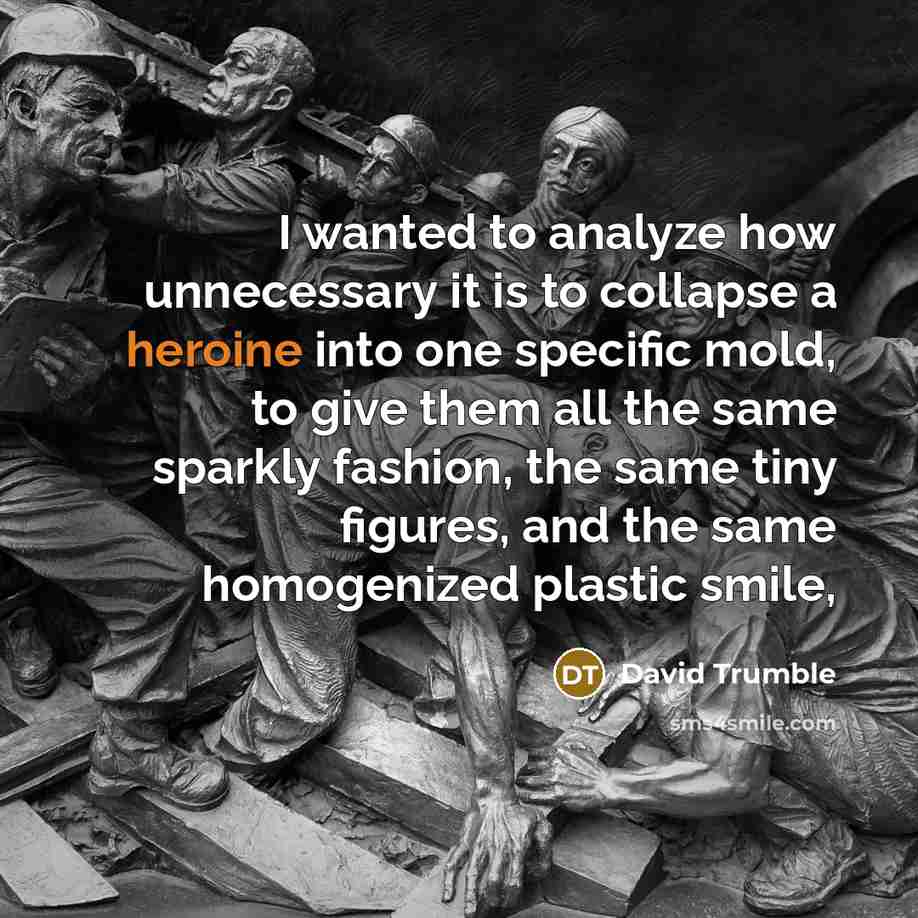 “I wanted to analyze how unnecessary it is to collapse a heroine into one specific mold, to give them all the same sparkly fashion, the same tiny figures, and the same homogenized plastic smile,” quote by David Trumble