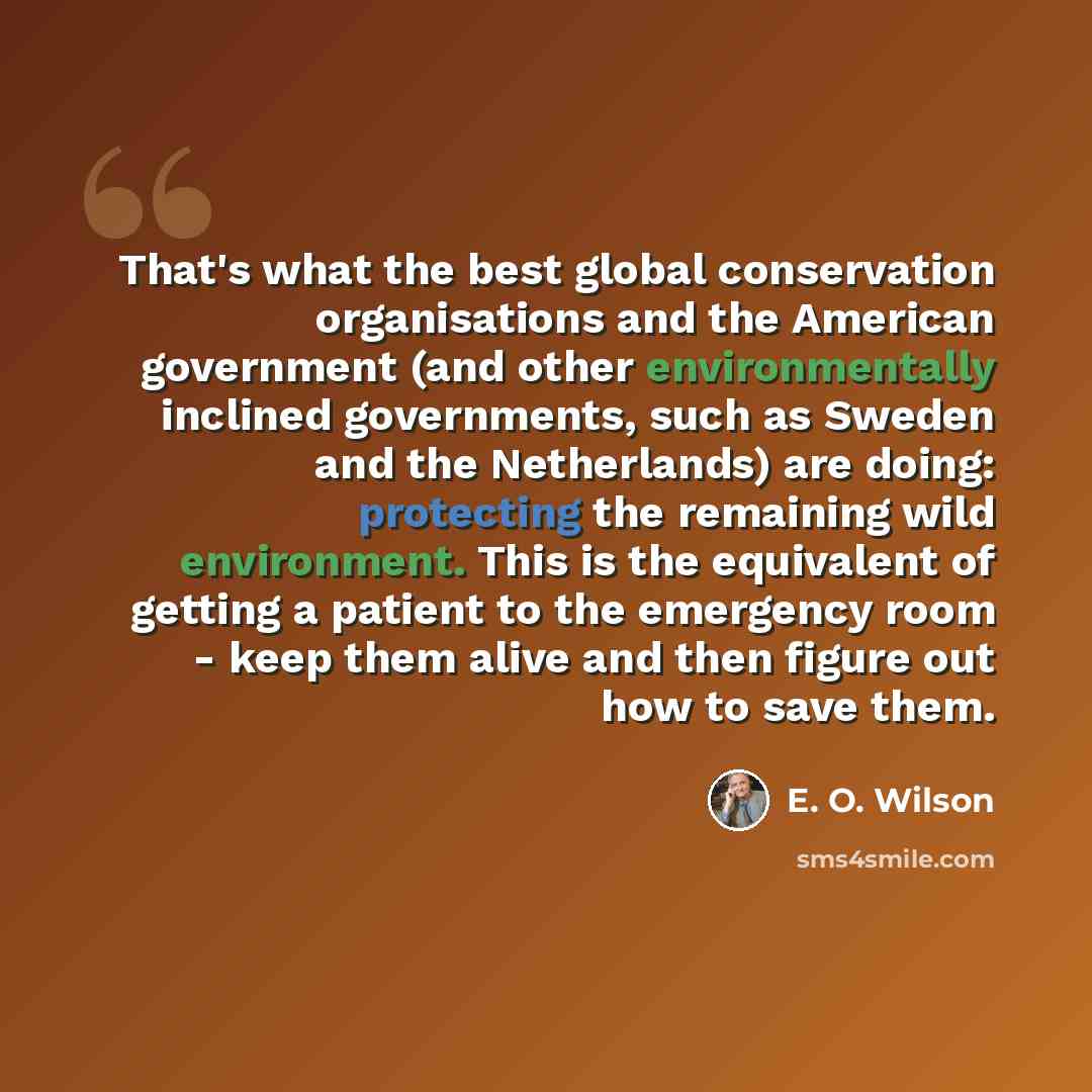 “That's what the best global conservation organisations and the American government (and other environmentally inclined governments, such as Sweden and the Netherlands) are doing: protecting the remaining wild environment. This is the equivalent of getting a patient to the emergency room - keep…” quote by E. O. Wilson