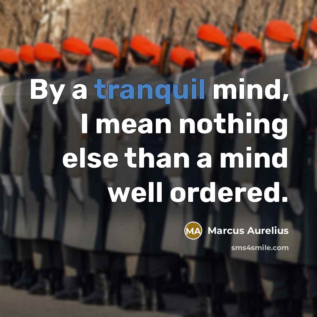 “By a tranquil mind, I mean nothing else than a mind well ordered.” quote by Marcus Aurelius