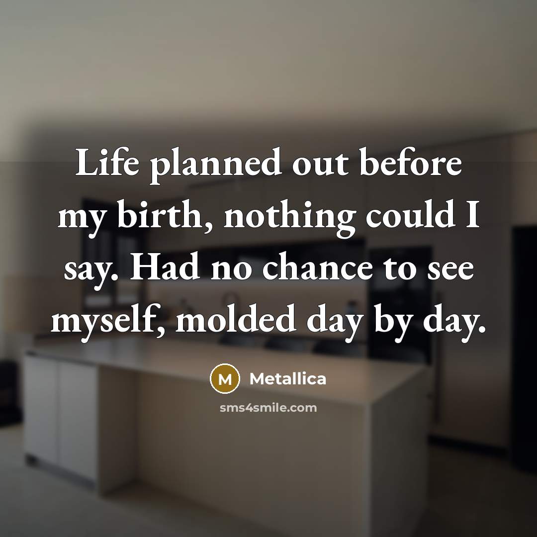 “Life planned out before my birth, nothing could I say. Had no chance to see myself, molded day by day.” quote by Metallica