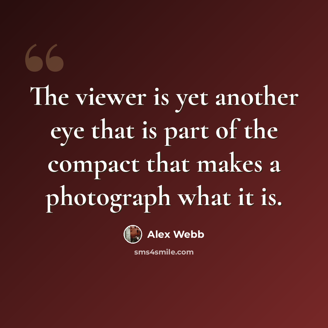 “The viewer is yet another eye that is part of the compact that makes a photograph what it is.” quote by Alex Webb