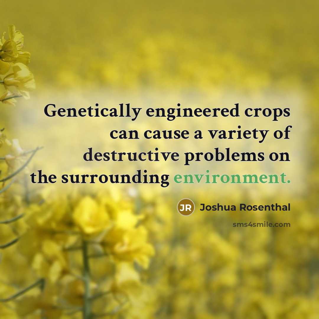 “Genetically engineered crops can cause a variety of destructive problems on the surrounding environment.” quote by Joshua Rosenthal