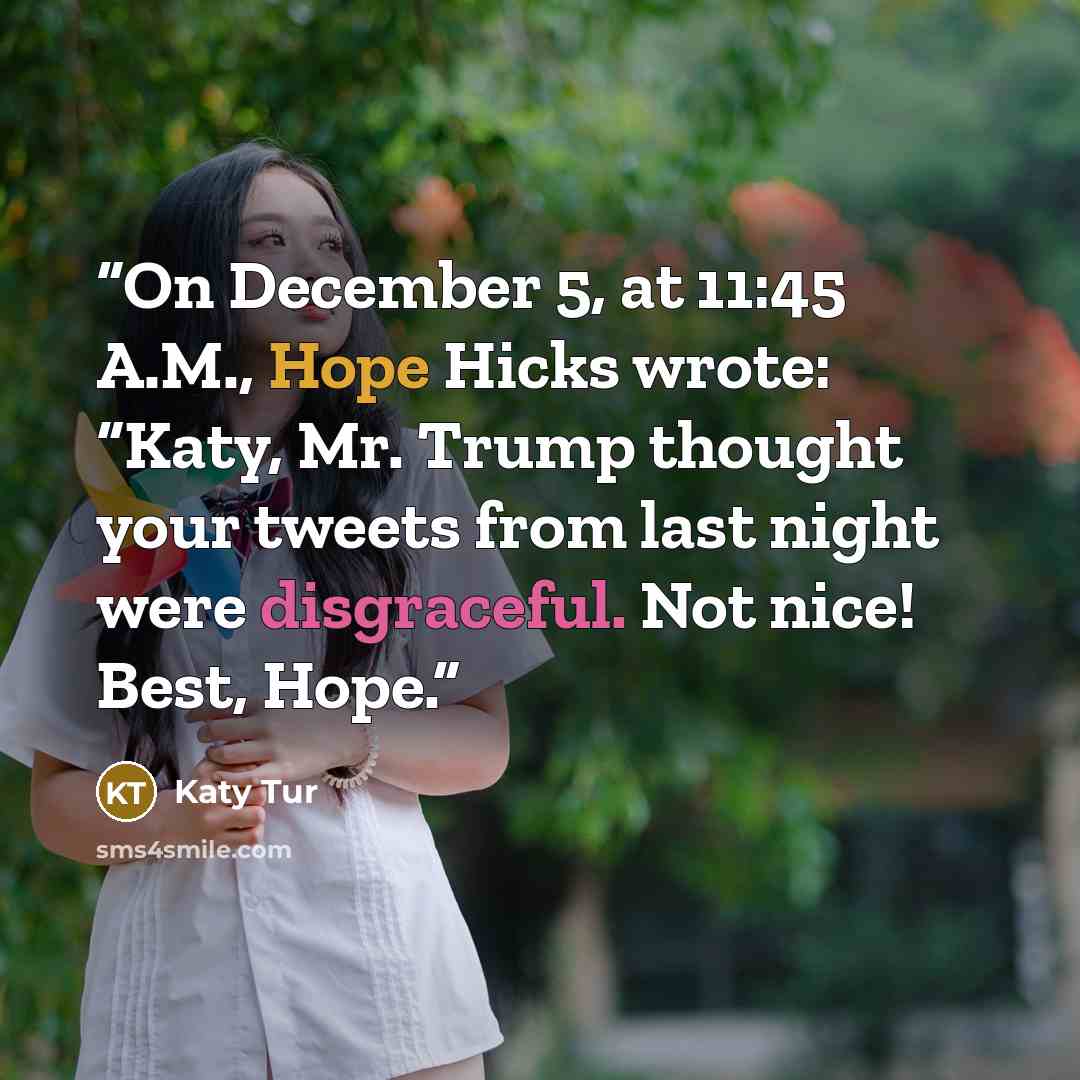 “On December 5, at 11:45 A.M., Hope Hicks wrote: “Katy, Mr. Trump thought your tweets from last night were disgraceful. Not nice! Best, Hope.” quote by Katy Tur