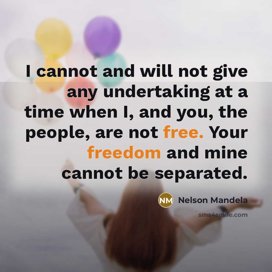 “I cannot and will not give any undertaking at a time when I, and you, the people, are not free. Your freedom and mine cannot be separated.” quote by Nelson Mandela