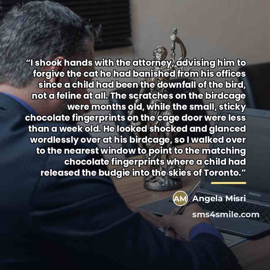 “I shook hands with the attorney, advising him to forgive the cat he had banished from his offices since a child had been the downfall of the bird, not a feline at all. The scratches on the birdcage were months old, while the small, sticky chocolate fingerprints on the cage door were less than a…” quote by Angela Misri
