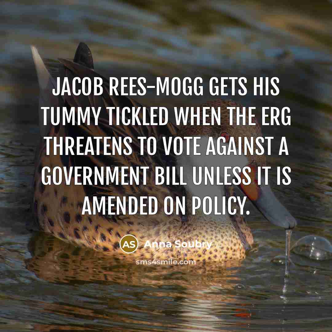 “Jacob Rees-Mogg gets his tummy tickled when the ERG threatens to vote against a government bill unless it is amended on policy.” quote by Anna Soubry