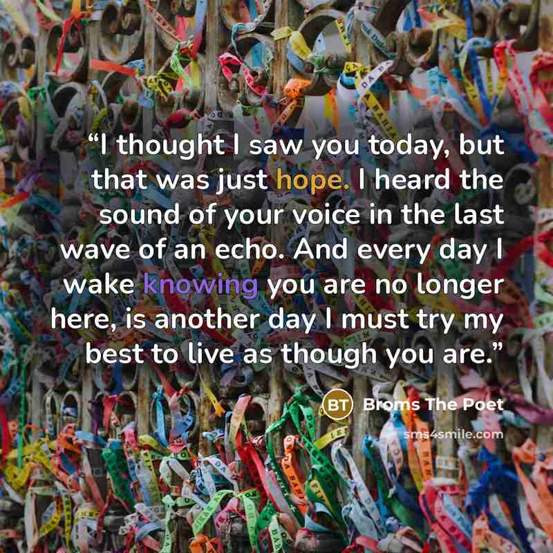 “I thought I saw you today, but that was just hope. I heard the sound of your voice in the last wave of an echo. And every day I wake knowing you are no longer here, is another day I must try my best to live as though you are.” quote by Broms The Poet
