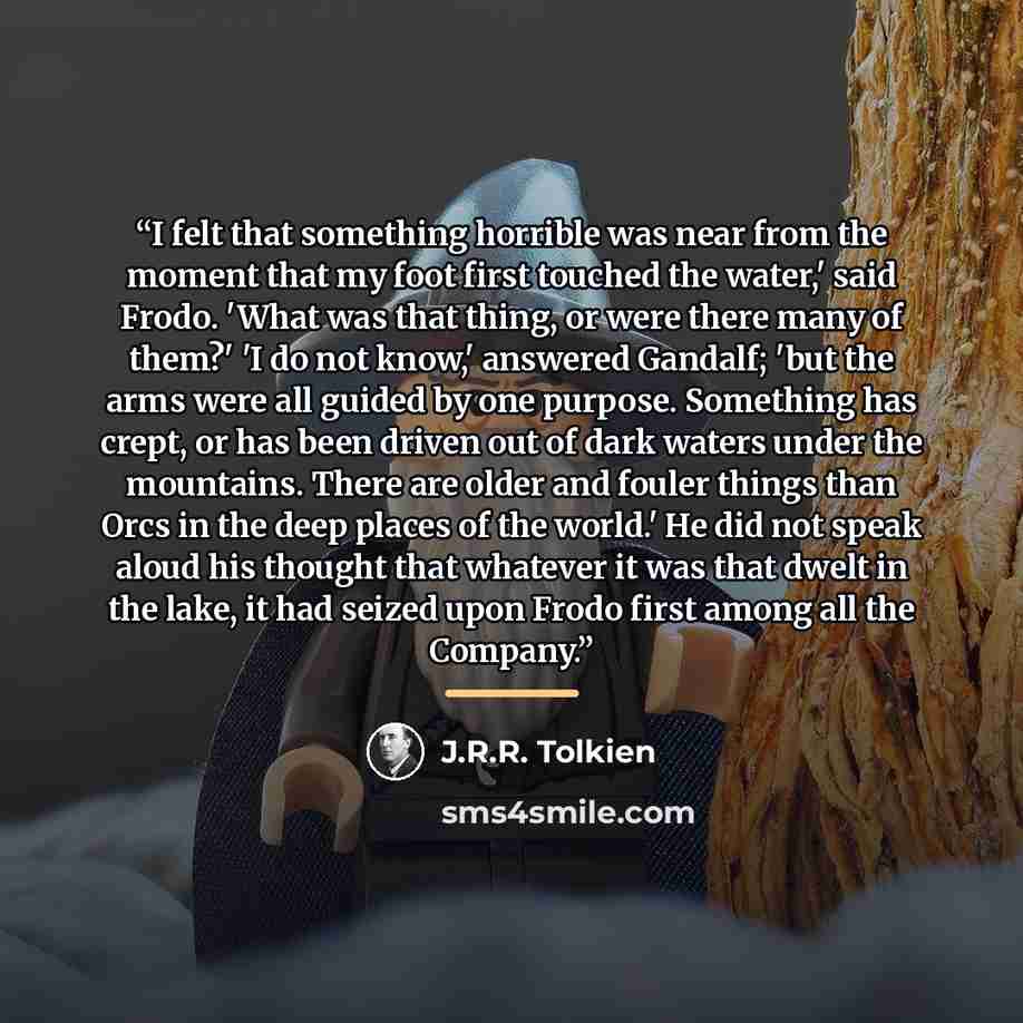 “I felt that something horrible was near from the moment that my foot first touched the water,' said Frodo. 'What was that thing, or were there many of them?' 'I do not know,' answered Gandalf; 'but the arms were all guided by one purpose. Something has crept, or has been driven out of dark waters…” quote by J.R.R. Tolkien