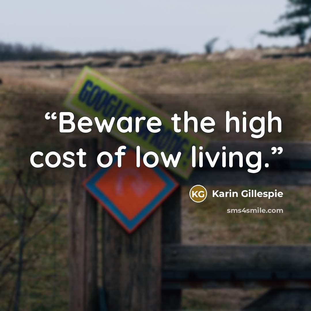 “Beware the high cost of low living.” quote by Karin Gillespie