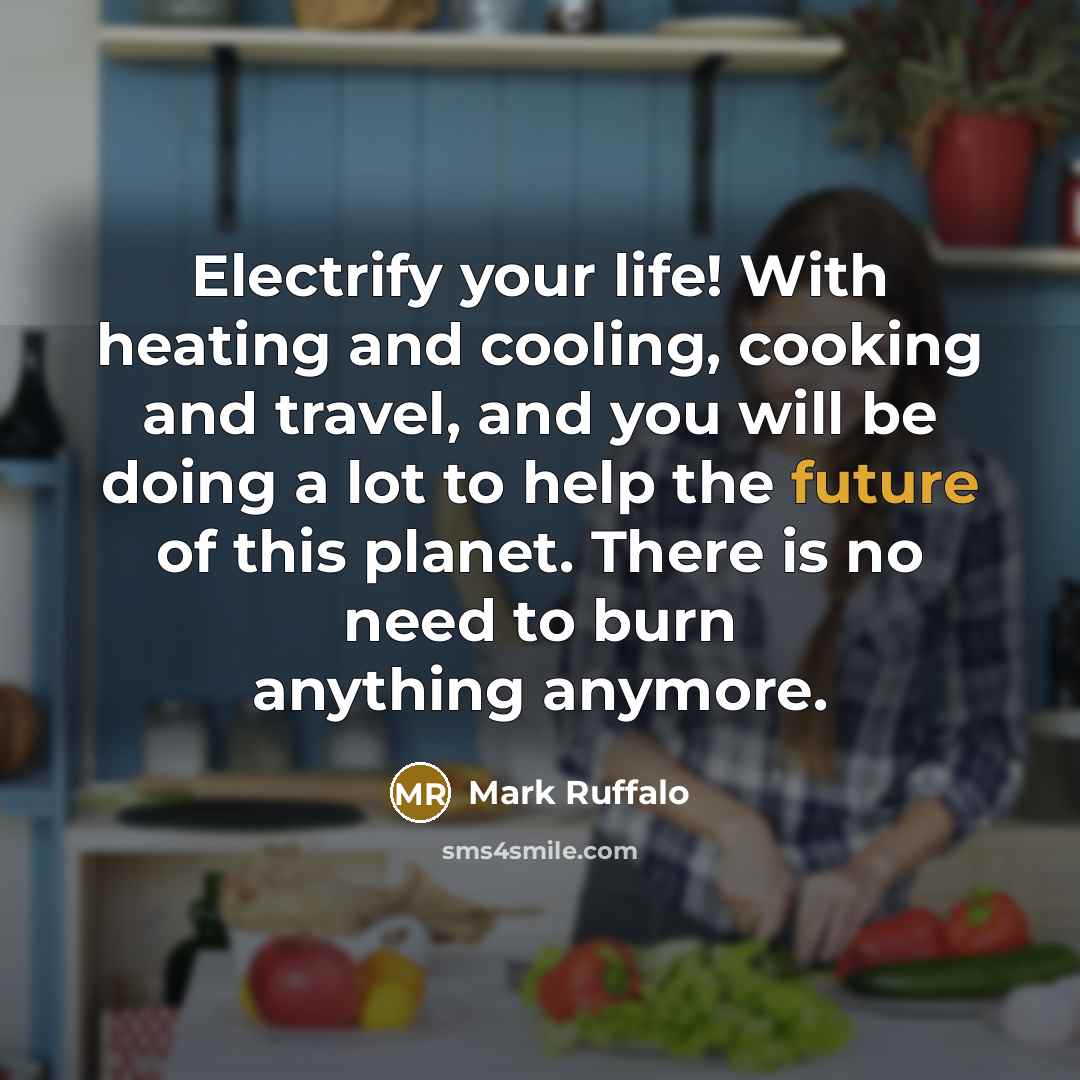 “Electrify your life! With heating and cooling, cooking and travel, and you will be doing a lot to help the future of this planet. There is no need to burn anything anymore.” quote by Mark Ruffalo