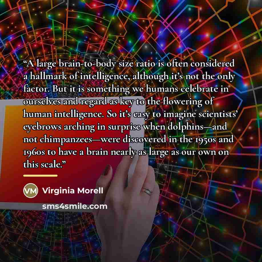 “A large brain-to-body size ratio is often considered a hallmark of intelligence, although it’s not the only factor. But it is something we humans celebrate in ourselves and regard as key to the flowering of human intelligence. So it’s easy to imagine scientists’ eyebrows arching in surprise when…” quote by Virginia Morell
