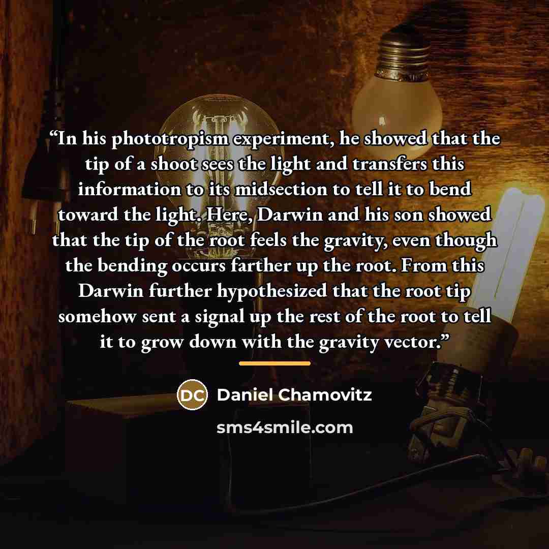 “In his phototropism experiment, he showed that the tip of a shoot sees the light and transfers this information to its midsection to tell it to bend toward the light. Here, Darwin and his son showed that the tip of the root feels the gravity, even though the bending occurs farther up the root…” quote by Daniel Chamovitz